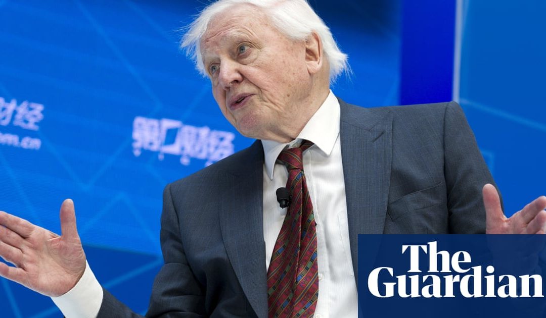 ‘Outrage is justified’: David Attenborough backs school climate strikers