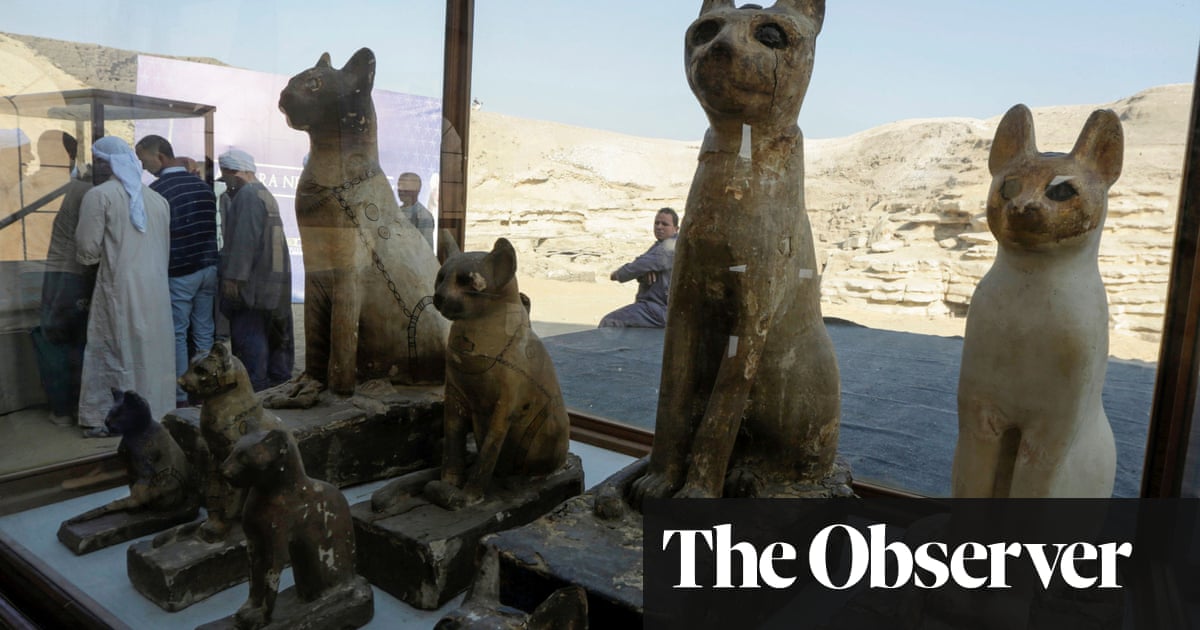 Mummified lion and dozens of cats among rare finds in Egypt