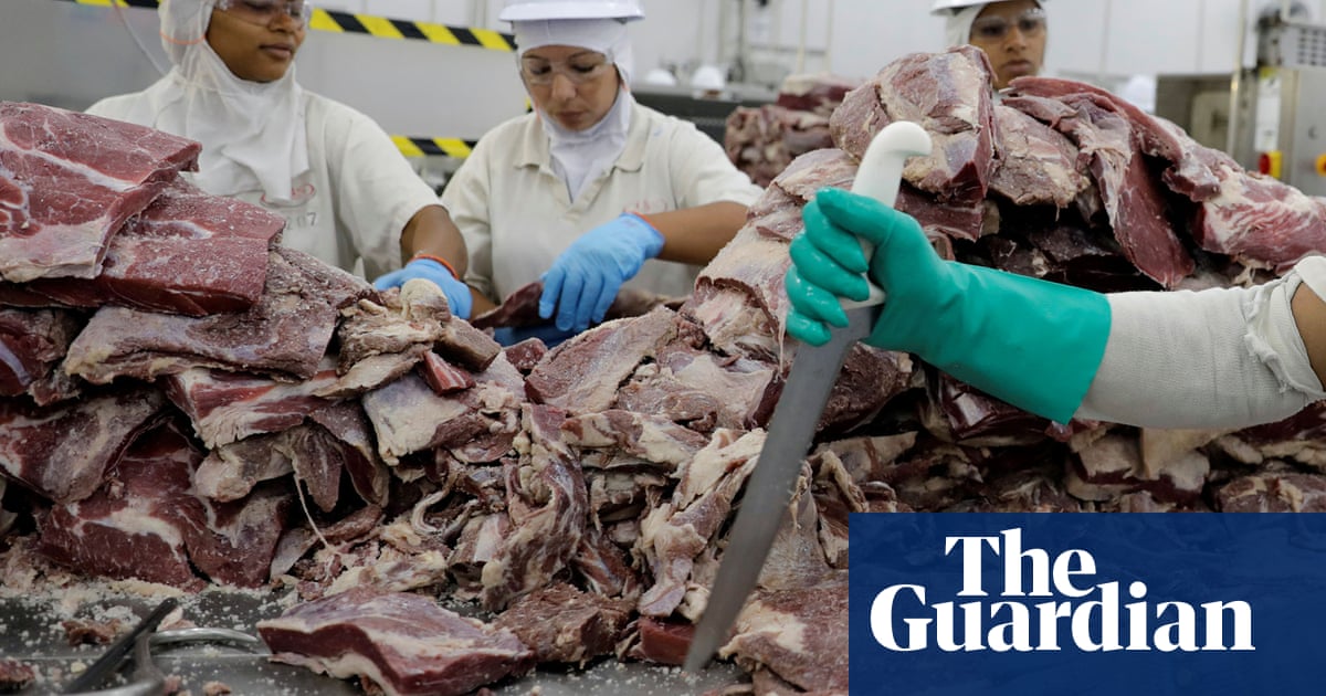 Meat company faces heat over cattle laundering in Amazon supply chain